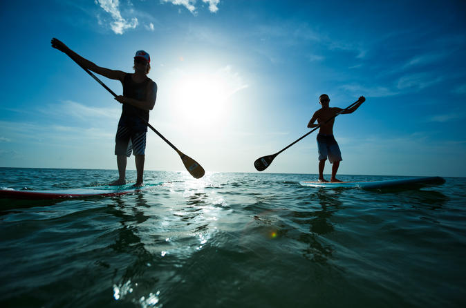 Paddle Board Rental in Scarborough Tour: Explore some the most secrets spots on the east coast - see amazing cliffs and caves